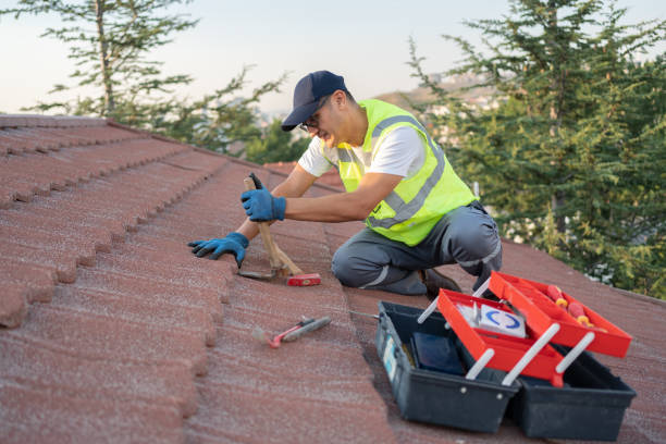 Best Emergency Roof Repair  in Ninety Six, SC